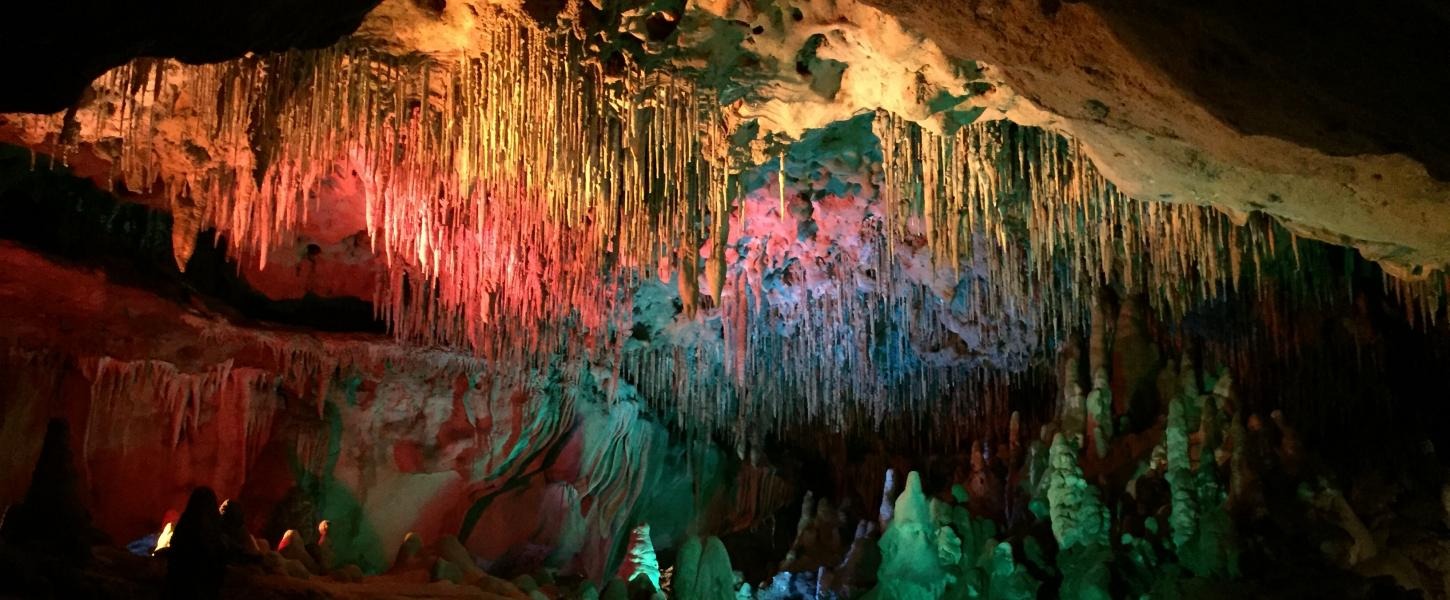 Discover the Unique Charms of Florida Caverns State Park!